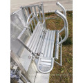 Mouton Goat Yard Equipment Catcher